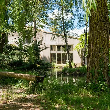 L'îlot Feng Shui - Jardin&400m De La Cité