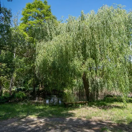 L'îlot Feng Shui - Jardin&400m De La Cité Apartamento Carcasona